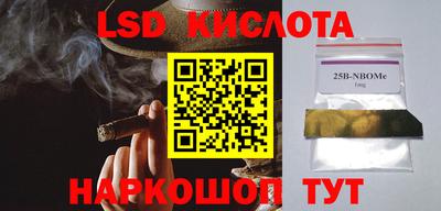 твердый Заводоуковск
