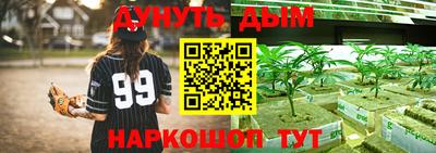 гидропоника Жуковский