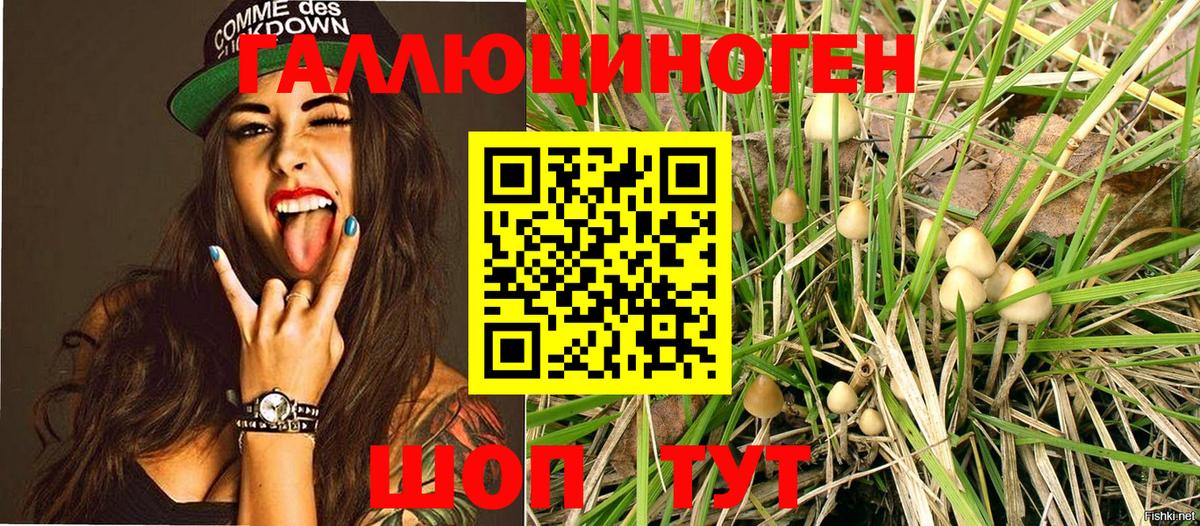 Галлюциногенные грибы ЛСД  Вход с VPN  Псилоцибиновые грибы MAGIC MUSHROOMS  Родники 