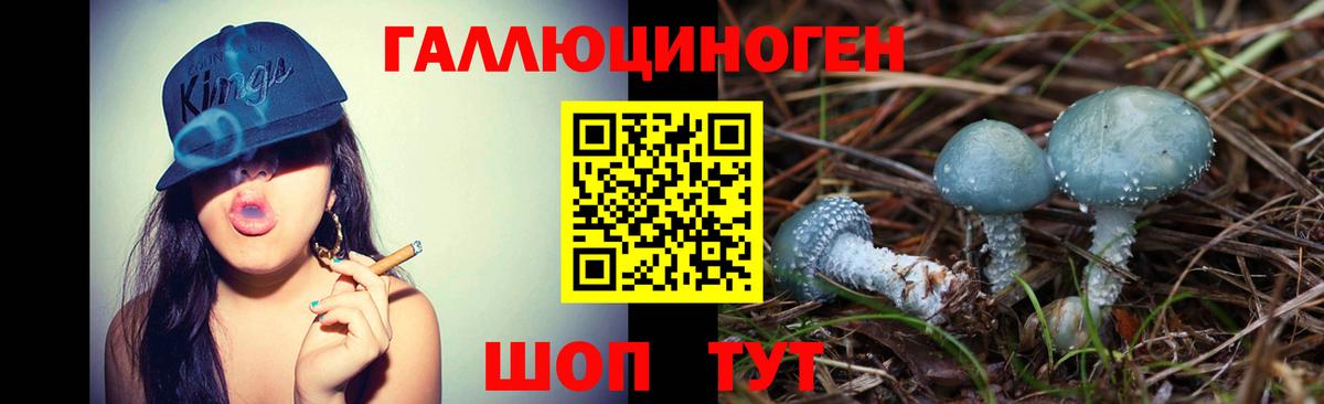 Галлюциногенные грибы Cubensis Родники
