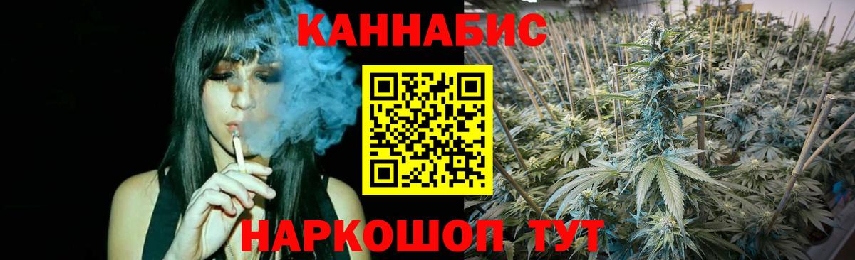 Бошки Шишки гибрид Родники